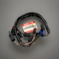 Suzuki Kabelstecker Instrumente GSF600 GSF600SU Cord Meter Socket XX22853 – Foto 1