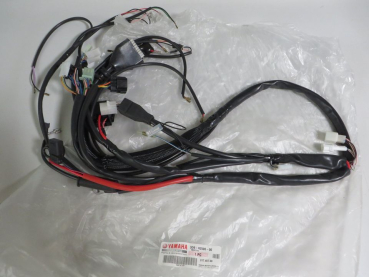 Yamaha Kabelbaum XT125 X XT125 R wire harness  3D6-H2590-00 Original NEU