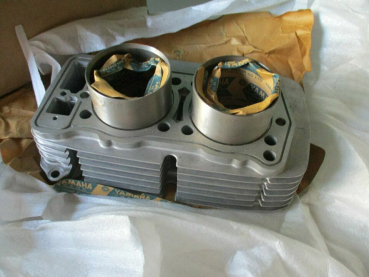 Yamaha Zylinder Zylinderbank XS500 cylinder Original NEU