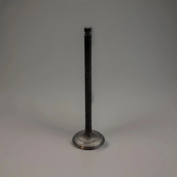 SUZUKI AUSLASSVENTIL GSXR750 GSX750F VALVE,EXHAUST 12912-17C00 XX36888