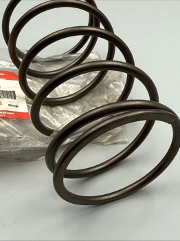 SUZUKI FEDER KUPPLUNG AN400 SPRING,MOVABLE DRIVEN 21243-15F00 XX23123