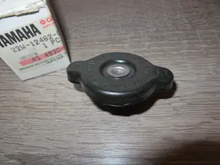 Yamaha Kühlerdeckel DT80LCII FZR1000 XTZ750 RD350 YPVS TDR250