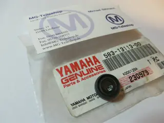 Yamaha Motorgehäuse Simmerring Rückschlagkugel XT500 SR500 XT550 XT600E XTZ660 SRX600 SZR660 MT-03 TT600 Original