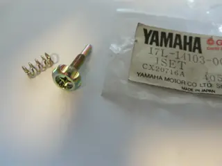 Yamaha Vergaser Drosselschraubensatz CV50 CV80 Riva Beluga Hercules City 17L-14103-00 Original NEU