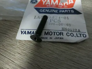 Yamaha Schraube Bremsflüssigkeitsbehälter FS1 DX RD50 RD250 RD400 RD50M master cylinder screw Original