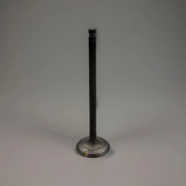 SUZUKI AUSLASSVENTIL GSXR750 GSX750F VALVE,EXHAUST 12912-17C00 XX36888